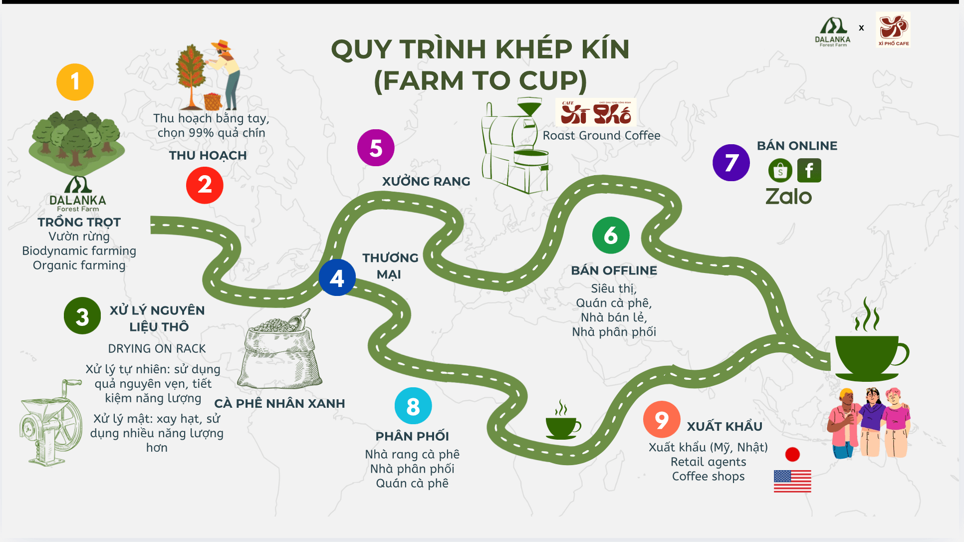 Sơ đồ quy trình Farm to Cup 9 bước