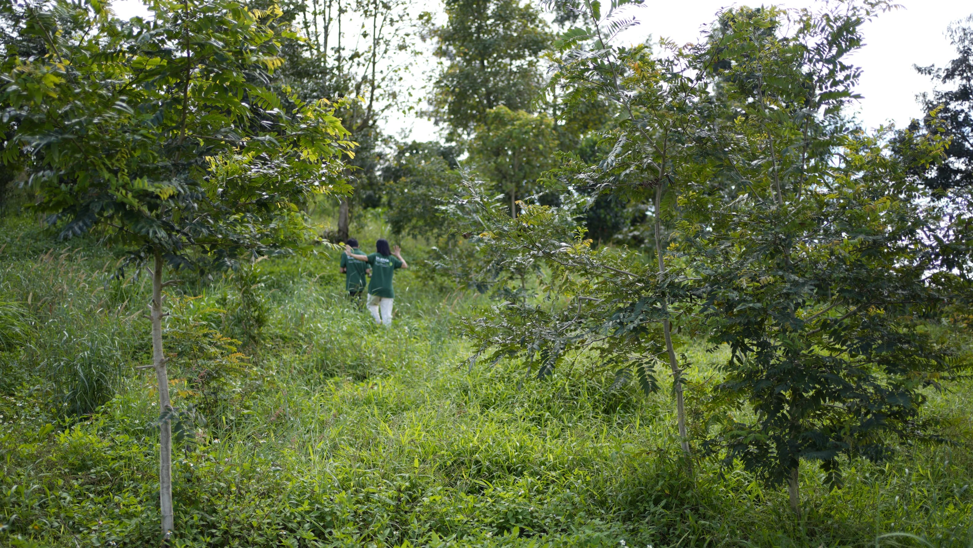 Vườn mẫu Dalanka - Lạc Đà Farm